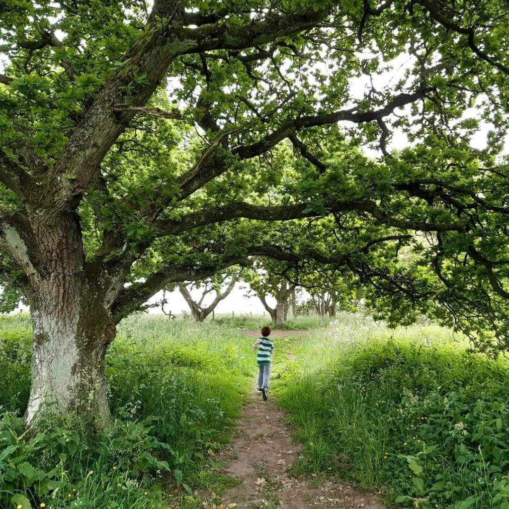 Photo credit: Jessica Jack